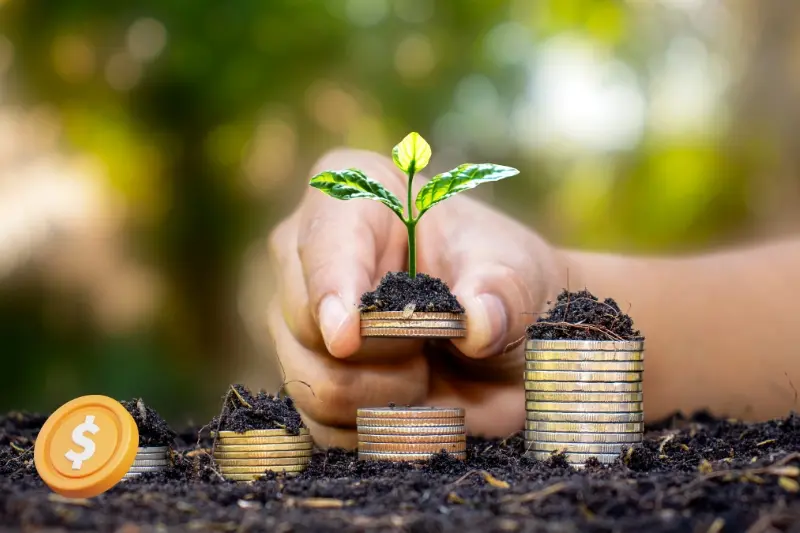 Qual a diferença entre necessidade e desejo na educação financeira?